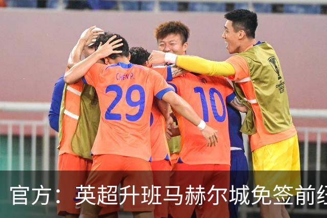 官方：英超升班马赫尔城免签前纽卡后卫塔格特，合同2+1