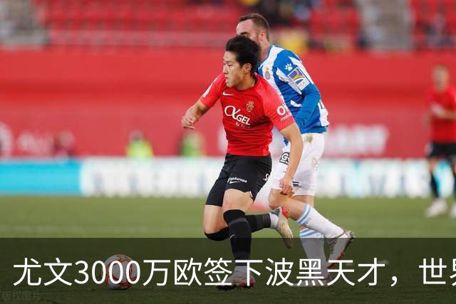 尤文3000万欧签下波黑天才，世界杯世界波一战成名世界杯赛场从来不打无准备之仗，但有些球员总能用最猝不及防的方式，让全世界记住自己